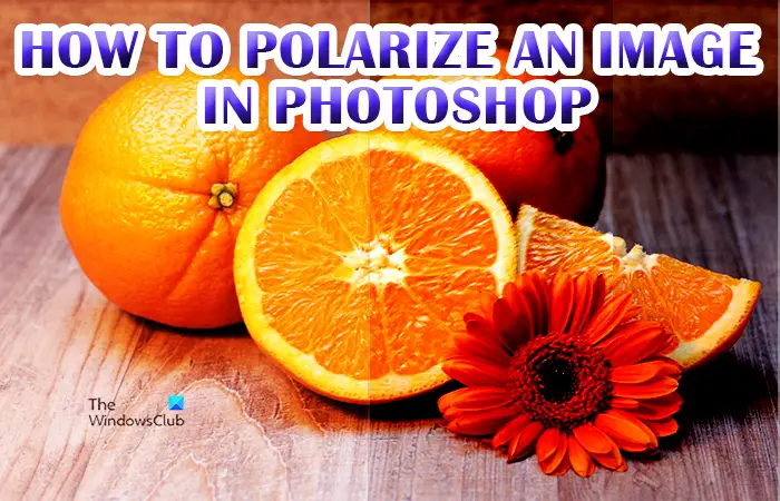 Comment polariser une image dans Photoshop