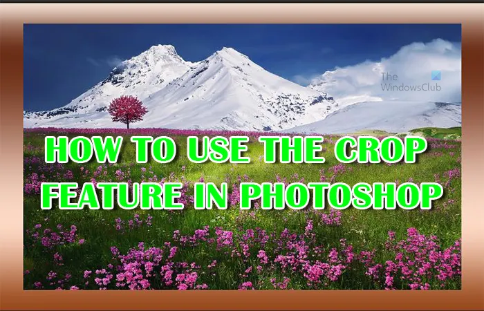 Hur man använder beskärningsverktyget i Photoshop för att beskära bilder