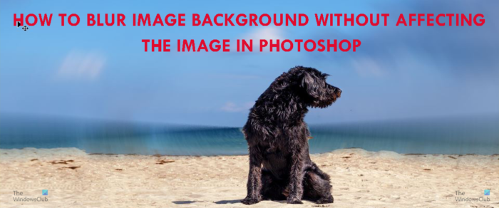 Comment flouter l'arrière-plan d'une image dans Photoshop sans affecter l'image