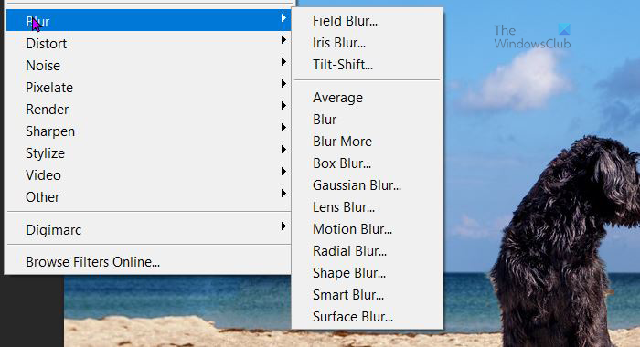 Bagaimana untuk mengaburkan latar belakang imej tanpa menjejaskan imej dalam Photoshop - menu Motion Blur