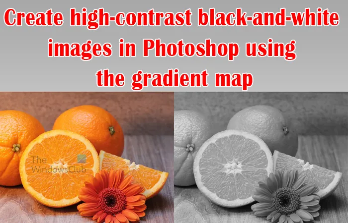Conversion d'une image en noir et blanc à contraste élevé dans Photoshop à l'aide d'une carte de dégradé