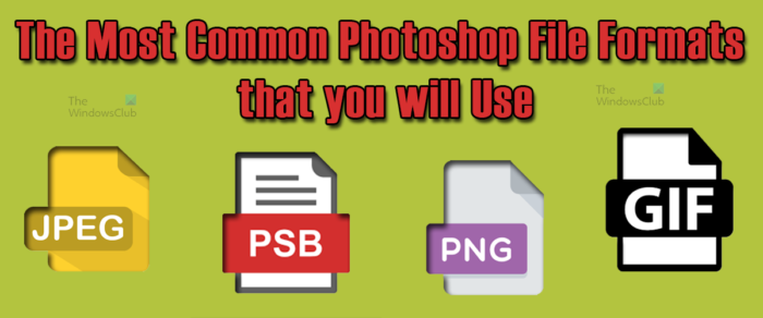 सबसे आम फ़ोटोशॉप फ़ाइल प्रारूप जिनका आप उपयोग कर सकते हैं