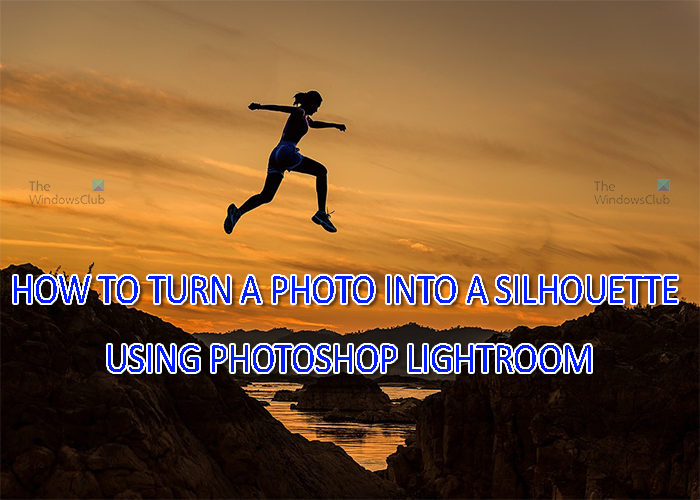 Cara mengubah foto menjadi siluet di Lightroom