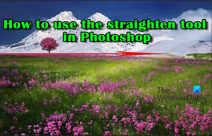 Comment utiliser l'outil Redresser dans Photoshop.
