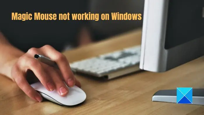 Magic Mouse werkt niet op Windows 11/10