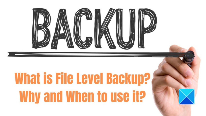 फाइल-लेवल बैकअप क्या है इसका उपयोग क्यों और कब करें