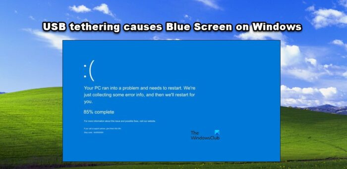 Partage de connexion USB provoquant un écran bleu dans Windows 11/10