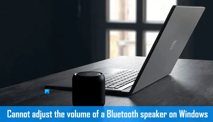 Le contrôle du volume du haut-parleur Bluetooth ne fonctionne pas sous Windows 11/10