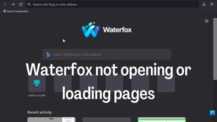 Το Waterfox δεν ανοίγει ή φορτώνει σελίδες σε υπολογιστή με Windows [Διόρθωση]