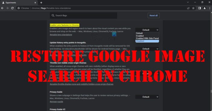 كيفية استعادة البحث عن الصور من Google في Chrome