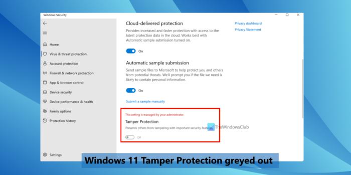 La protection anti-sabotage de Windows 11 est grisée