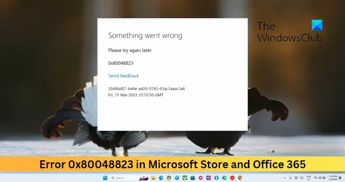 Correction de l'erreur 0x80048823 dans Windows 11