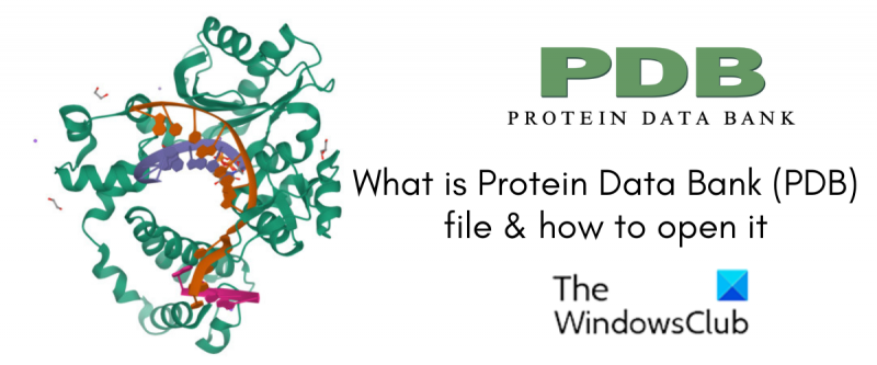 Visning af en Protein Data Bank (PDB) fil
