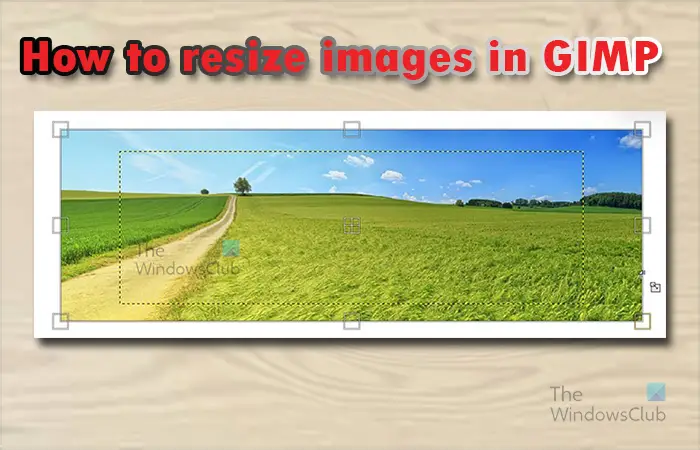 Cómo cambiar el tamaño de la imagen en GIMP sin perder calidad