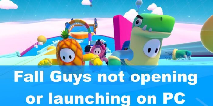 Fall Guys ne s'ouvrira pas ou ne se lancera pas sur PC