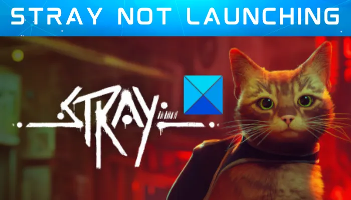 Stray not launching or open on Windows PC [Fixed]