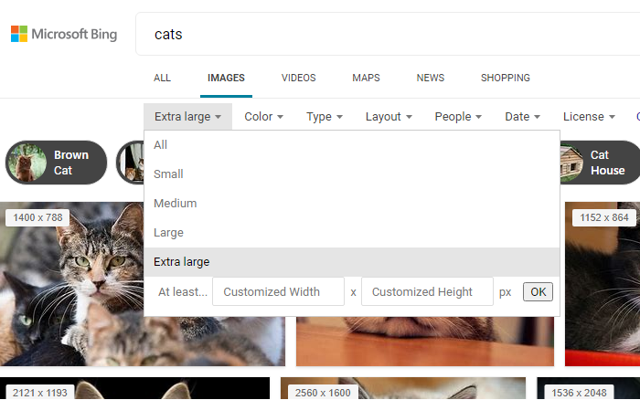 Търсене на изображения Bing