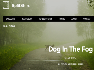 уебсайт за безплатни снимки на Splitshire