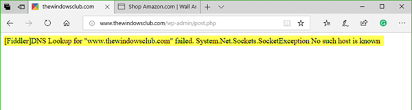 [Fiddler] 웹 사이트 DNS 조회 실패 system.net.sockets.socketexception