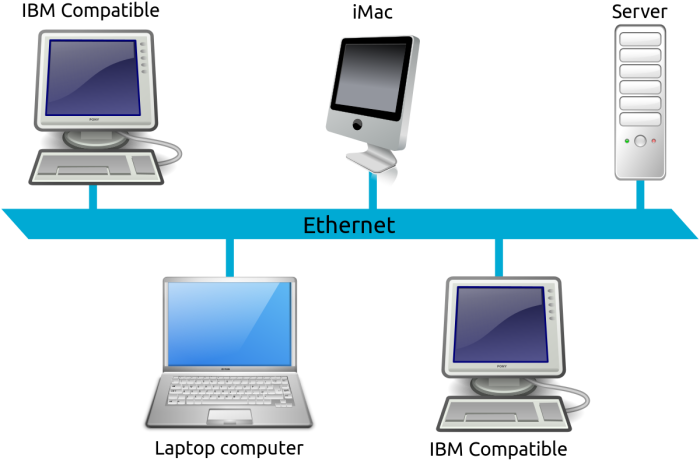 कंप्यूटर नेटवर्क क्या है? विभिन्न प्रकार के कंप्यूटर नेटवर्क के बारे में बताया