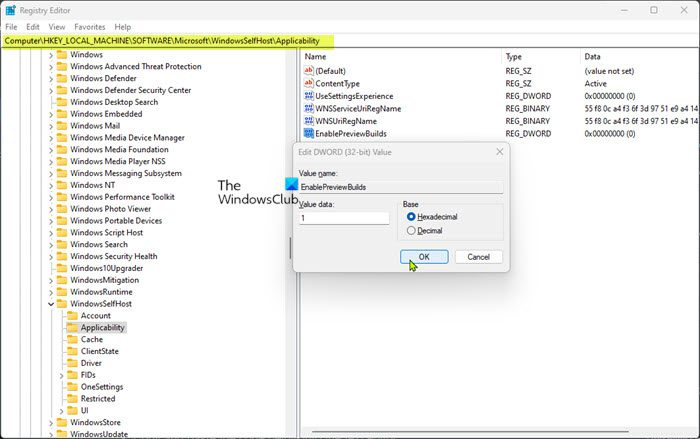Windows रजिस्ट्री कुंजी रजिस्ट्री-EnablePreviewBuilds संपादित करें।
