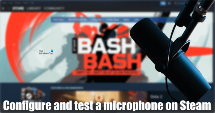 Как да конфигурирате и тествате микрофон в Steam