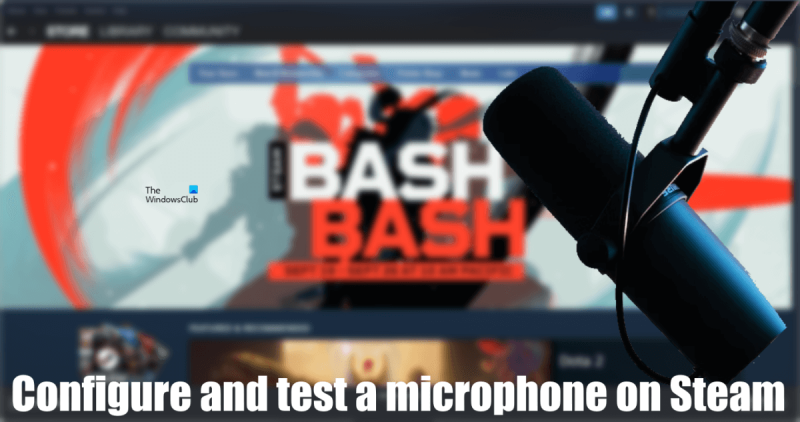 Nustatykite ir išbandykite mikrofoną „Steam“.