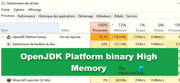 OpenJDK Platform Binair Hoog geheugengebruik op Windows-pc