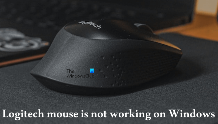 Myš Logitech nefunguje na Windows 11/10