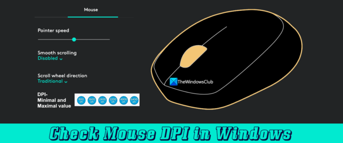 Comment vérifier le DPI de la souris dans Windows 11/10