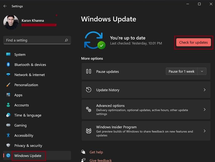 Windows 11 で Windows Update を手動でダウンロードする