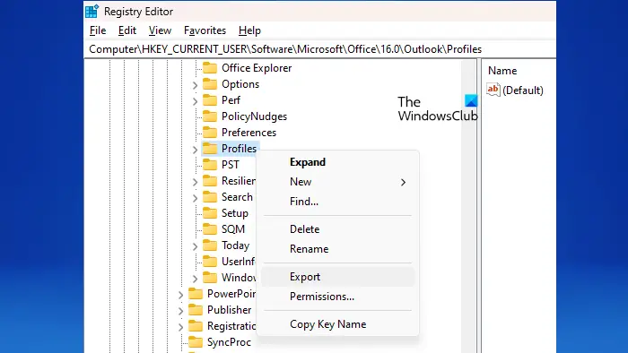   تصدير مفتاح تسجيل ملفات تعريف Outlook
