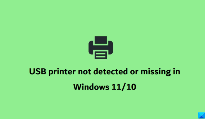 USB tiskárna nebyla detekována nebo chybí ve Windows 11/10