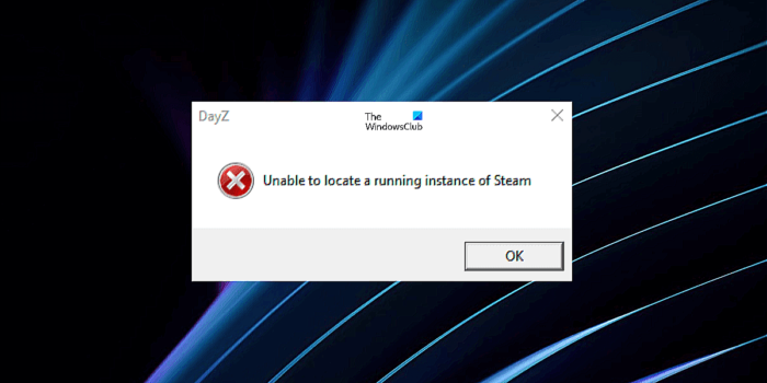 Nelze najít spuštěnou instanci Steam Dayz
