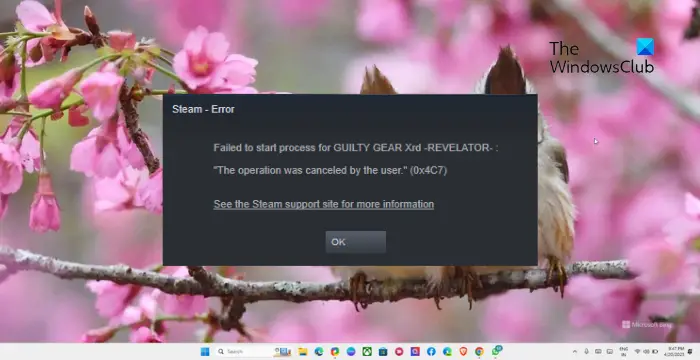 Darbību atcēla lietotājs (0x4C7) Steam kļūda