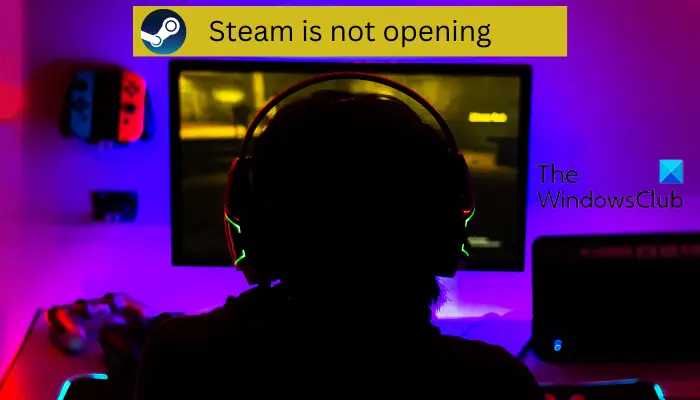 Steam se neotevírá ve Windows 11/10