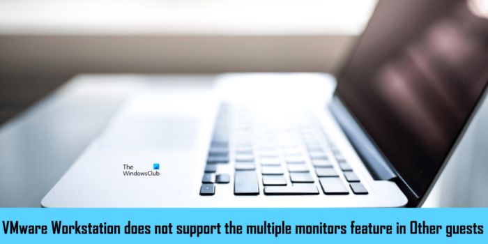 VMware Workstation neatbalsta vairāku monitoru funkciju sadaļā Citi viesi.