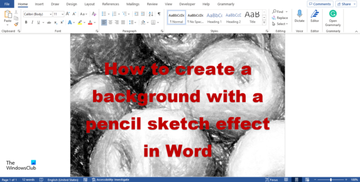 كيفية إنشاء خلفية باستخدام تأثير Pencil Sketch في Word